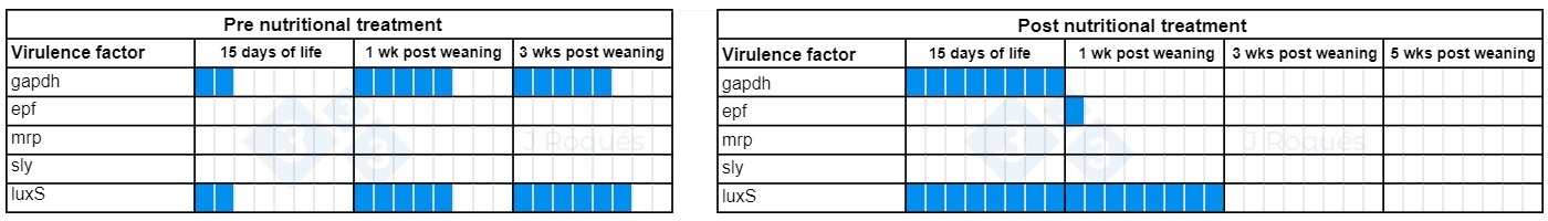 Table 1. Evolution of virulence factors detected in Streptococcus suis after incorporating&nbsp;SCFA and MCFA.
